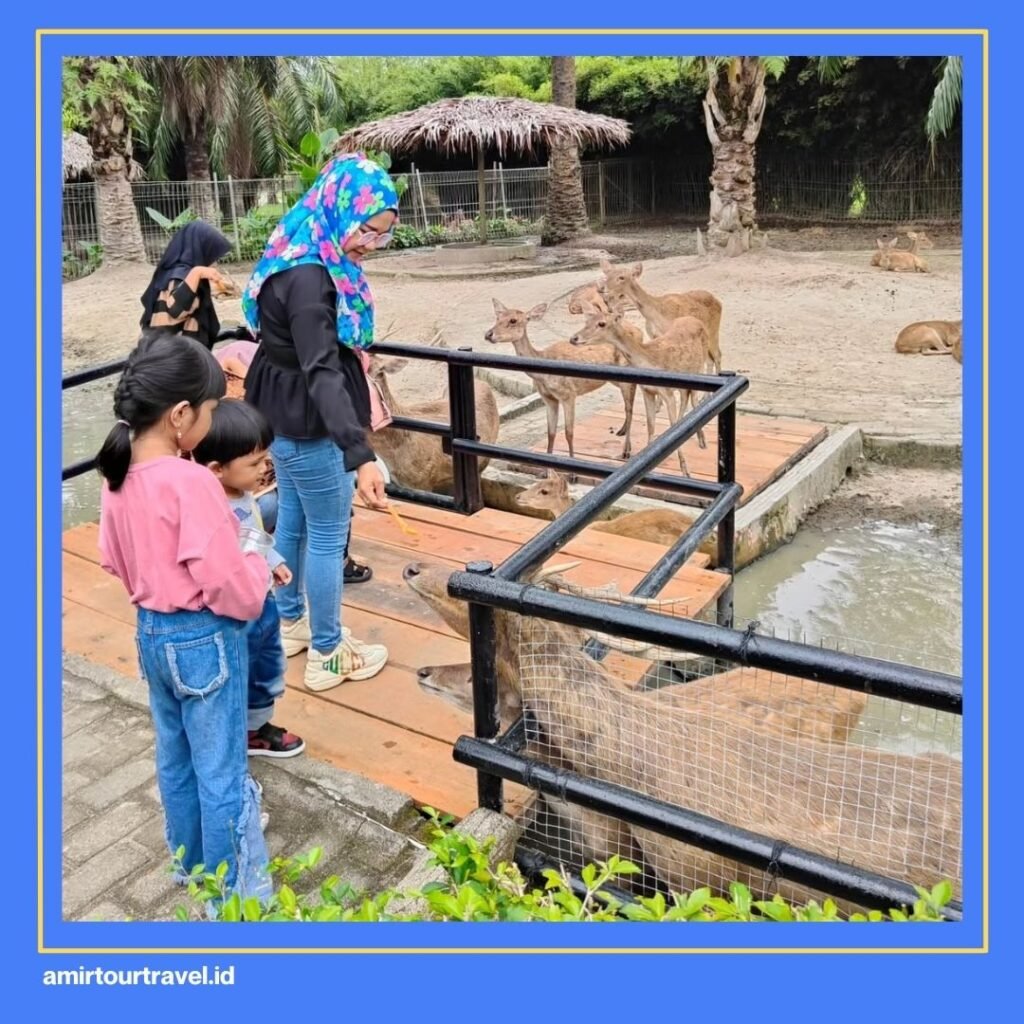Rahmat Zoo & Park