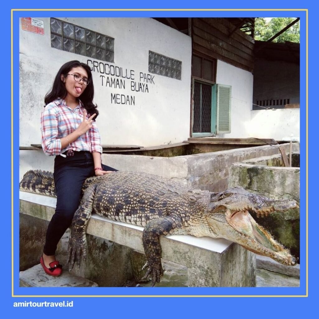 Penangkaran Buaya Asam Kumbang