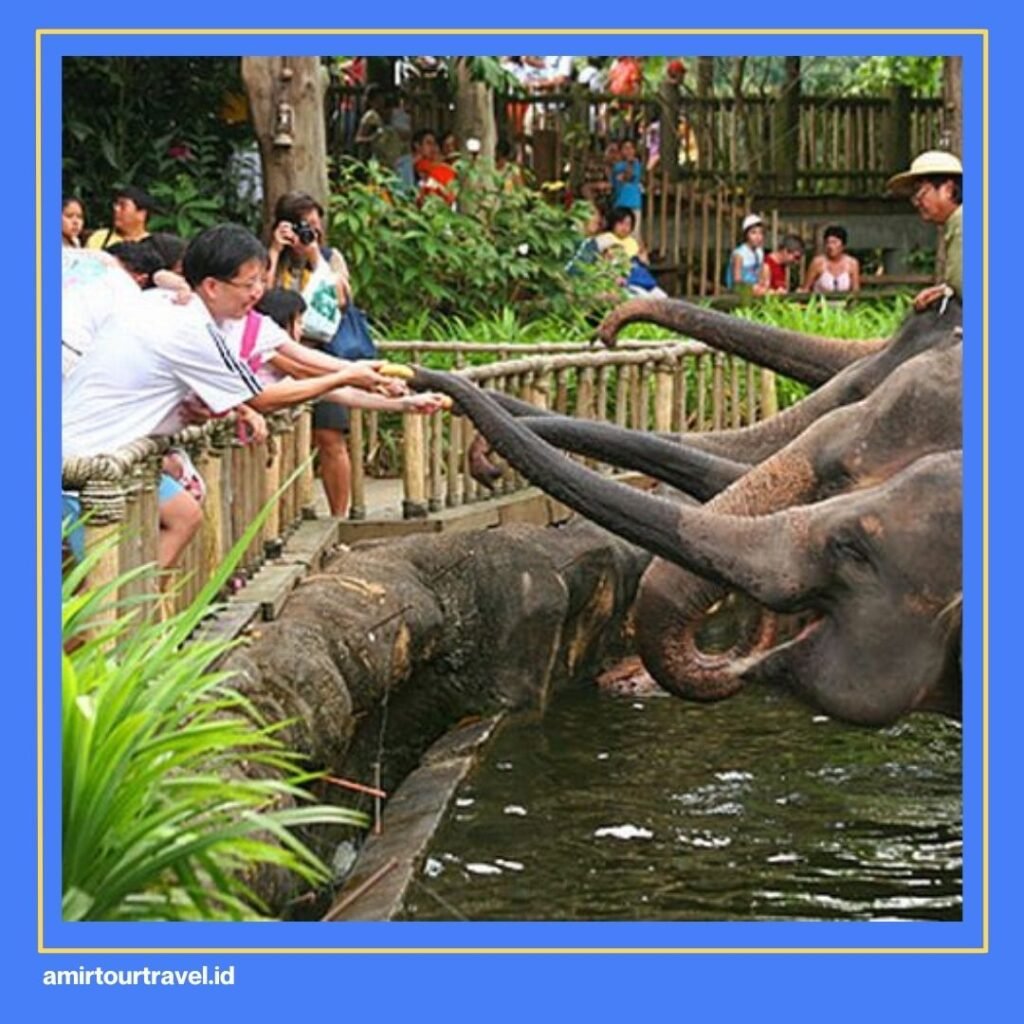 Medan Zoo