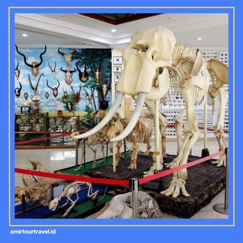 Museum Rahmat International Wildlife